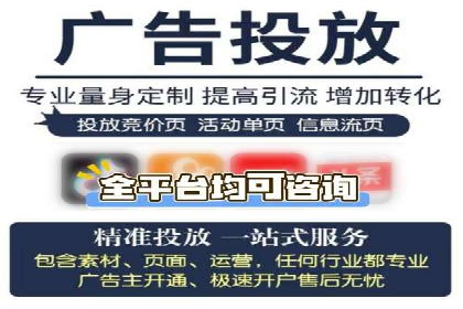 竞价广告的转化率提升策略——案例分享